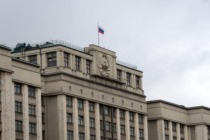 Дума приняла закон об использовании армии за рубежом для защиты россиян