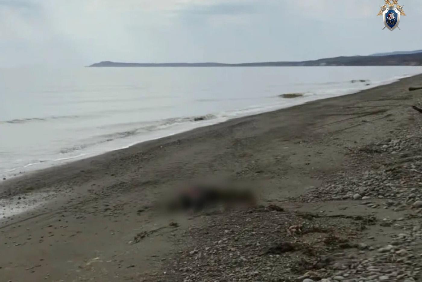 Чьё тело найдено на берегу залива в Поронайском районе на Сахалине