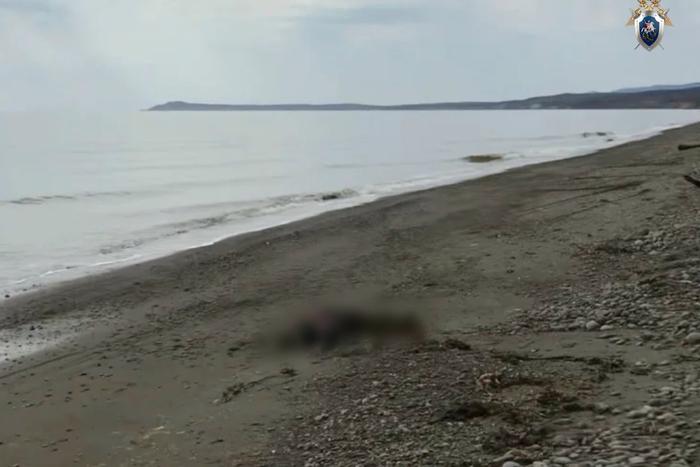 Чьё тело найдено на берегу залива в Поронайском районе на Сахалине