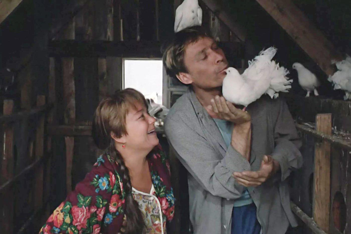 Кадр из фильма "Любовь и голуби" (1985).