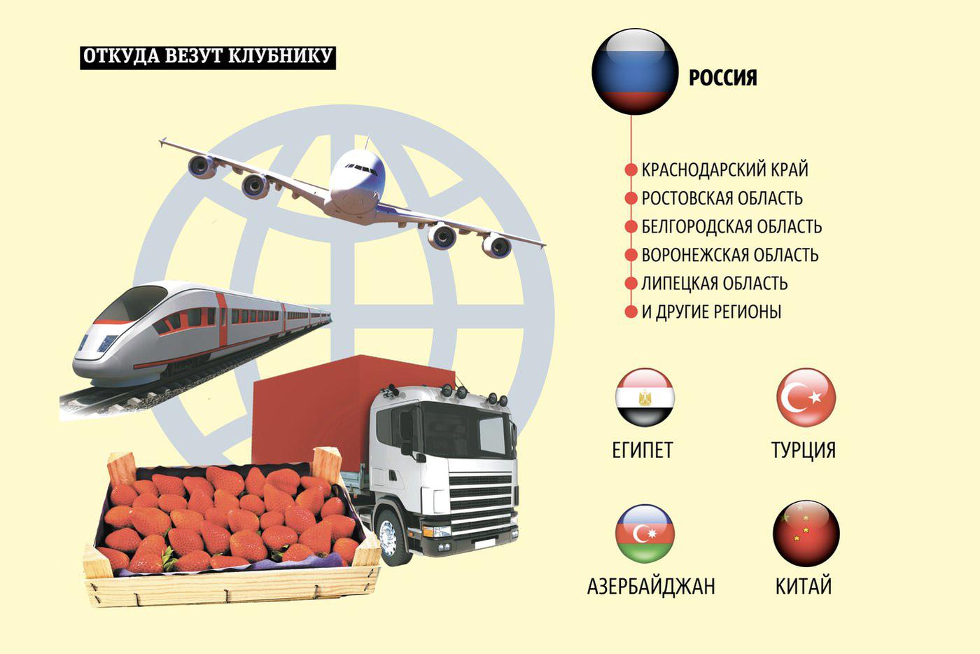 Инфографика