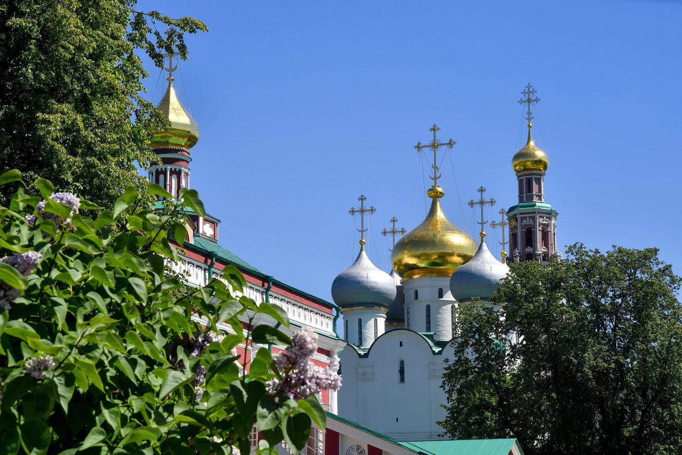 Новодевичий монастырь.