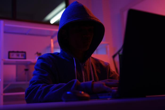 МВД обнаружило новый вредоносный "VPN-сервис"