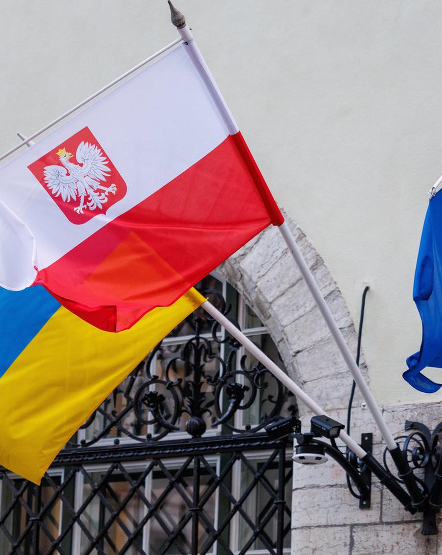 Вице-спикер Згожельский: членство Украины в ЕС убьёт сельское хозяйство Польши. Заместитель председателя польского сейма Пётр Згожельский в своём сообщении в социальной сети X (ранее Twitter) высказал мнение, что вступление Украины в Европейский союз в текущем формате может негативно сказаться на польском аграрном секторе