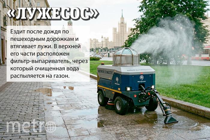 Пухосос, голубегон, селфипал: какие роботы помогут москвичам