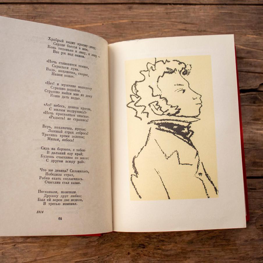 Во Франции огласили приговоры похитителям книг Пушкина и Лермонтова. Участников преступной группы воровавшей книги Пушкина и Лермонтова приговорили к тюремному заключению. "Ценители" русской классики орудовали в Париже и Лионе