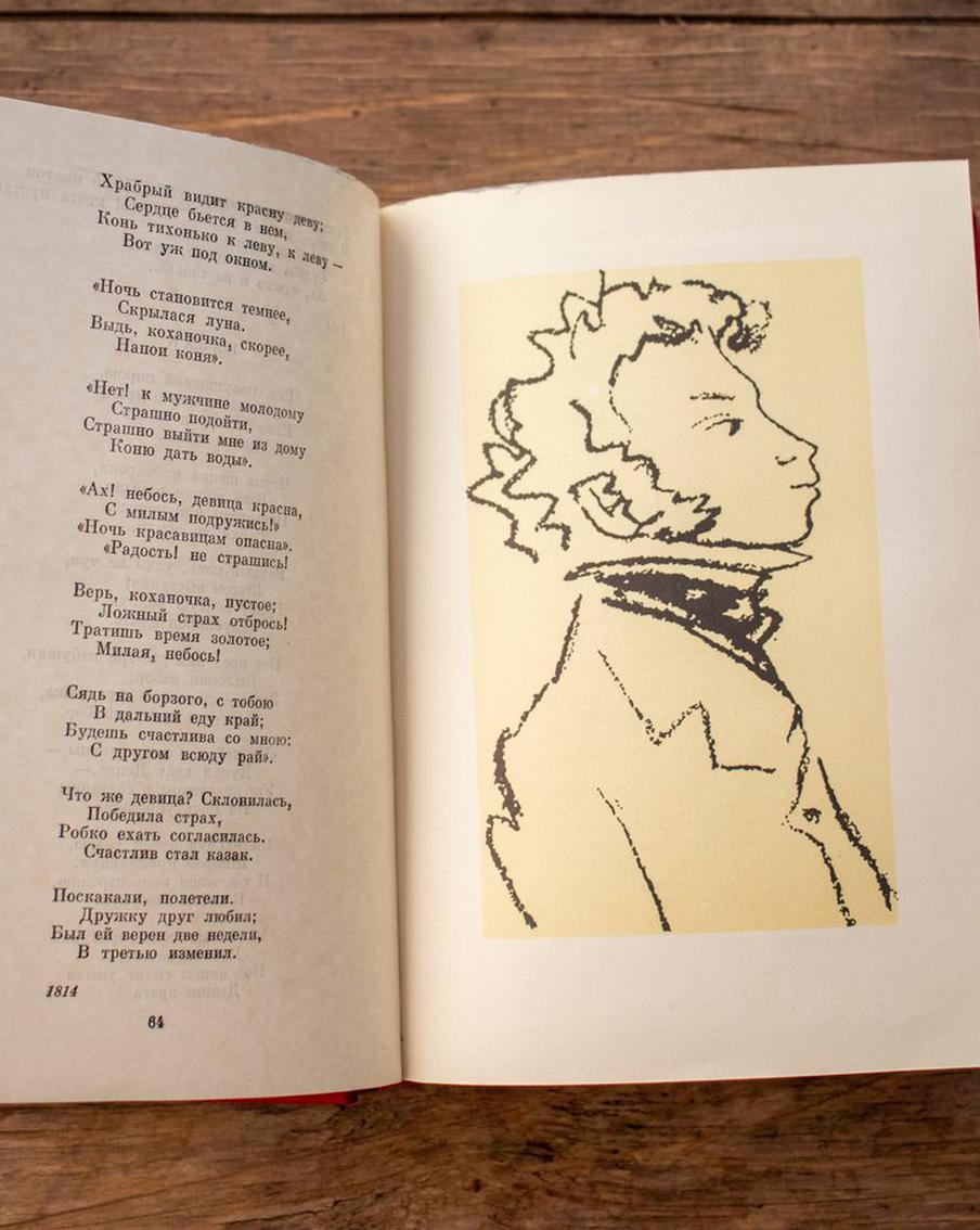 Похищавших книги Пушкина и Лермонтова из французских библиотек преступников приговорили к реальным срокам