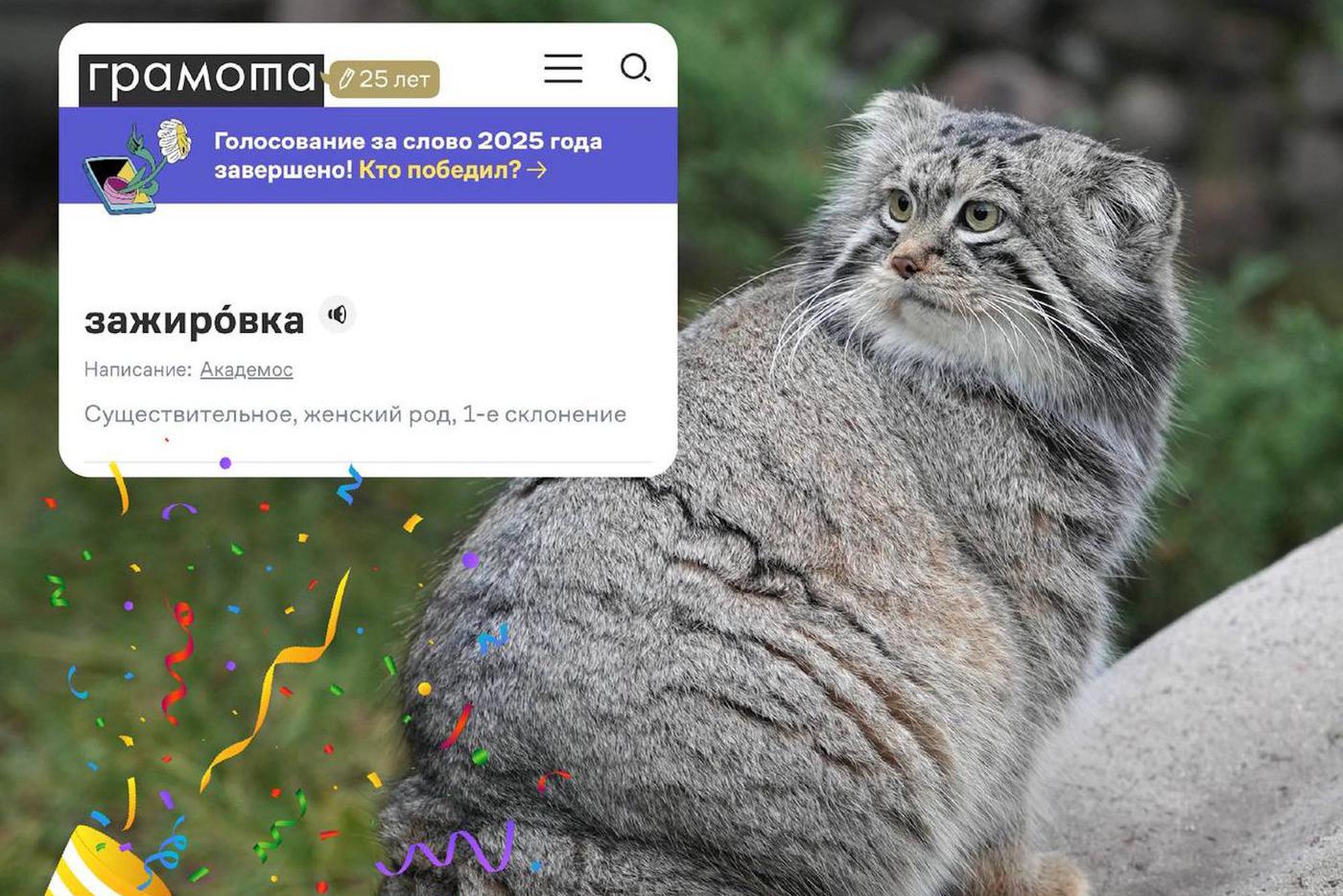 Талия Тимофея повлияла на словарь русского языка.