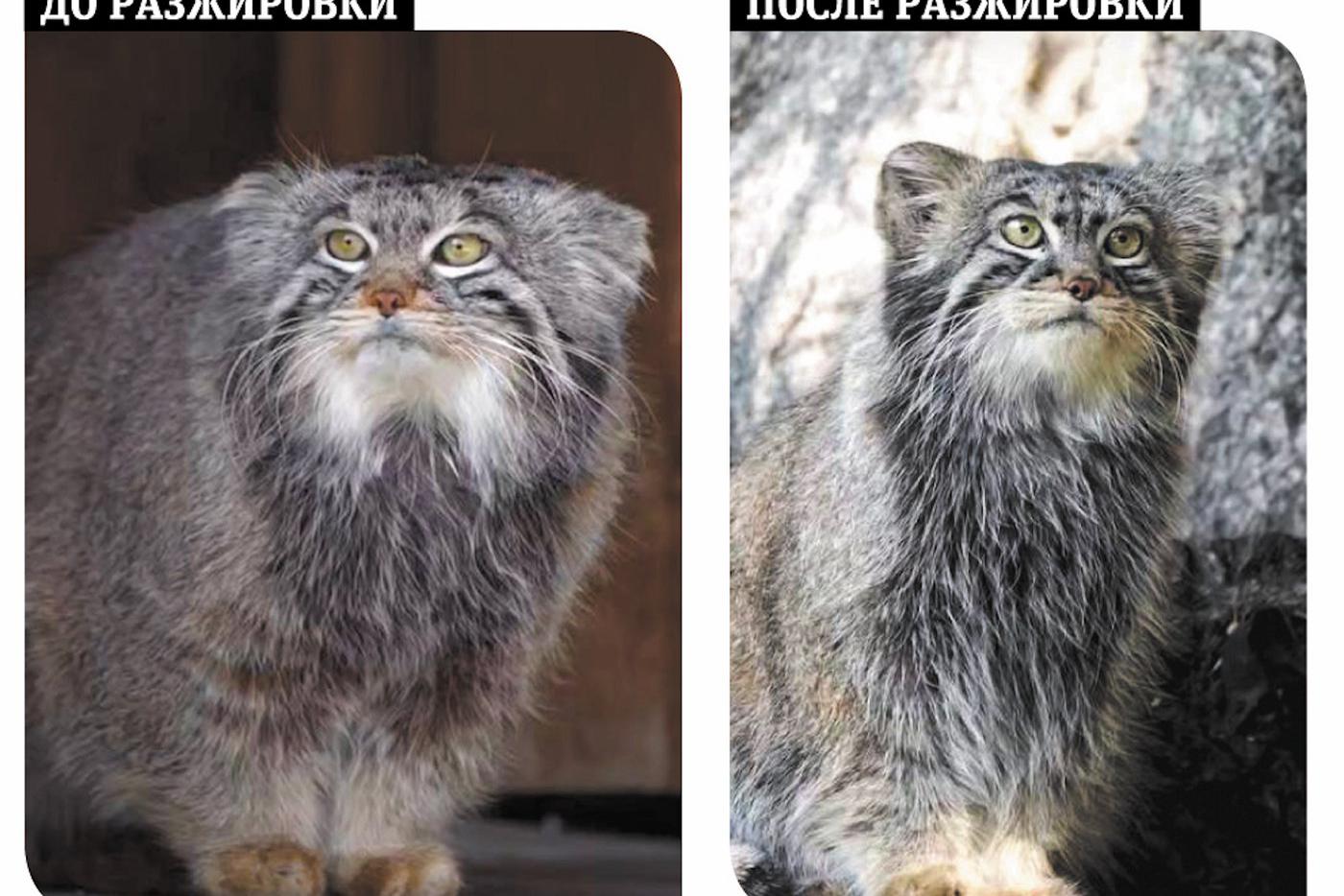 Каждый узнал себя...
