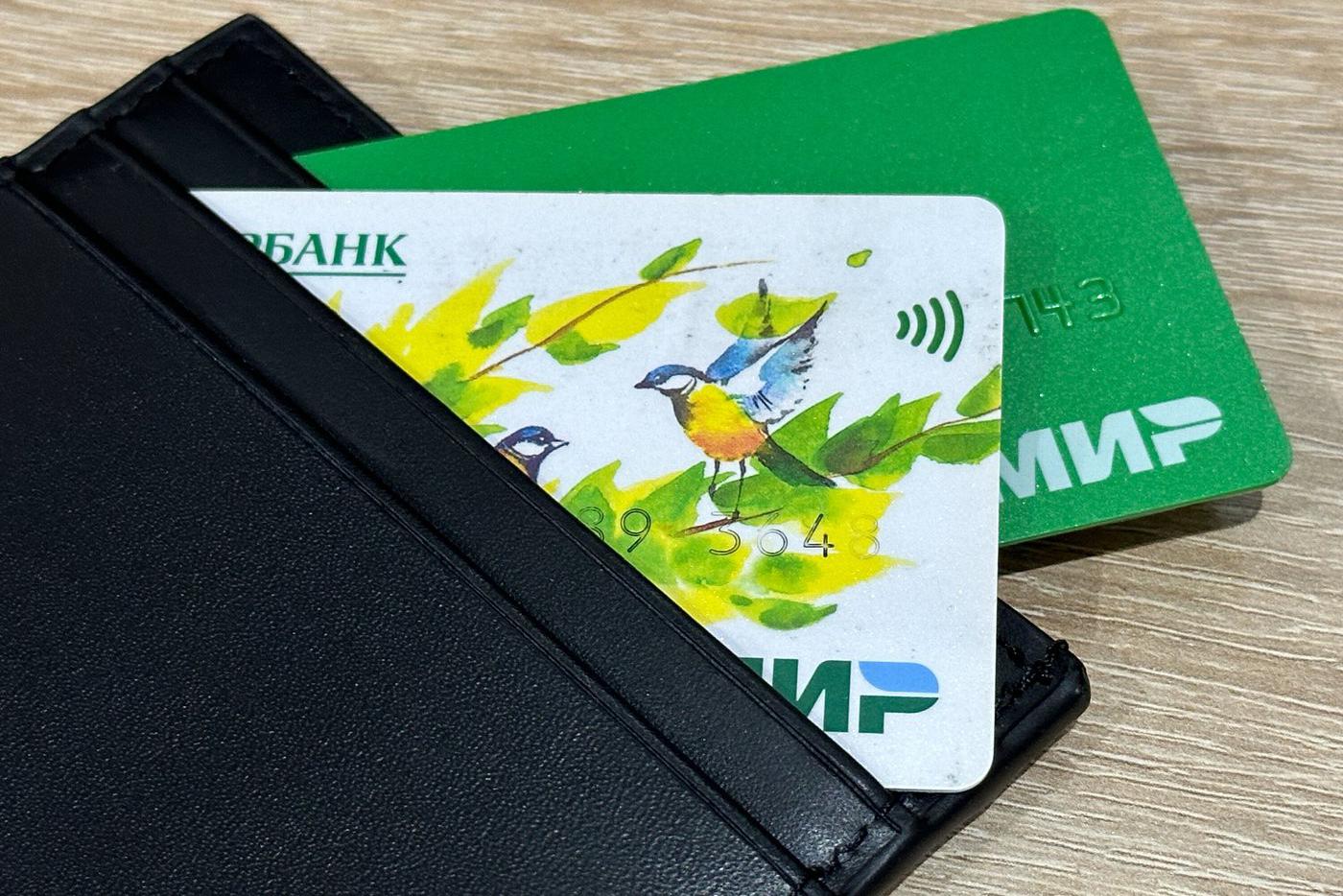 В Иране сообщили о бесперебойной работе российской платёжной системы "Мир"