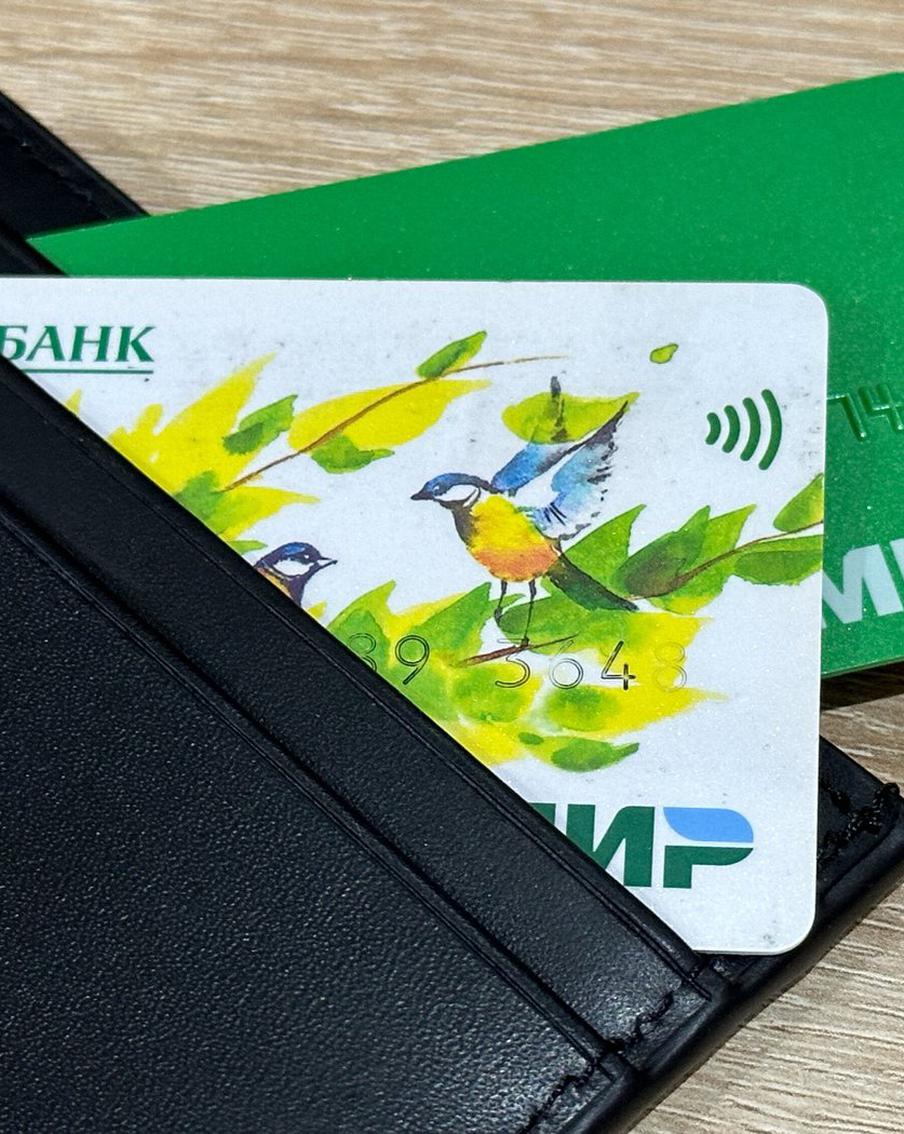 В Иране сообщили о бесперебойной работе российской платёжной системы "Мир". Карты "Мир" после завершения третьего этапа интеграции одноимённой платёжной системы в Иране можно без проблем использовать для оплаты товаров и услуг на иранской территории