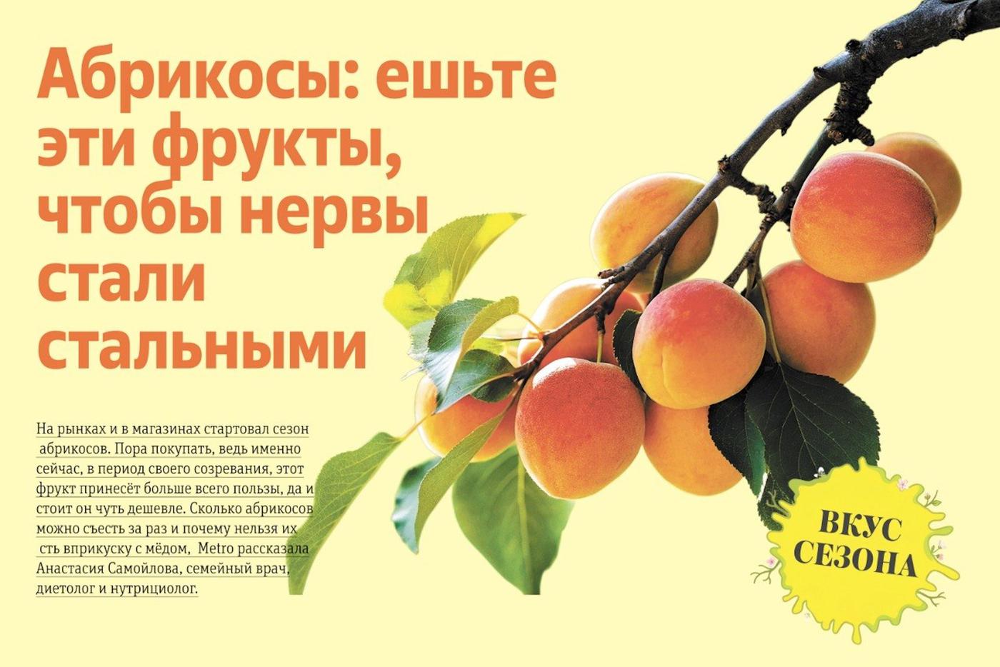 Что нужно знать об абрикосах