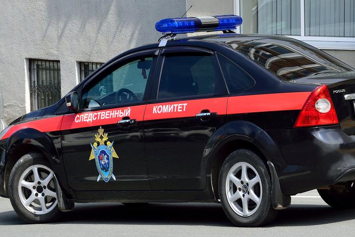 СК проводит проверку после гибели пассажира на борту рейса "Москва – Омск"