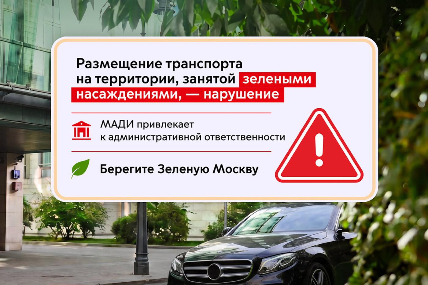 За парковку на газонах и у деревьев в Москве можно получить штраф до 300 тысяч рублей