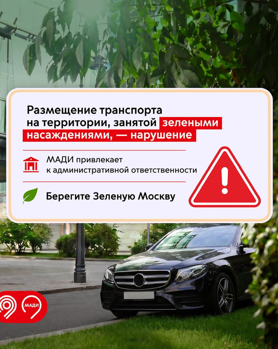 За парковку на газонах и у деревьев в Москве можно получить штраф до 300 тысяч рублей