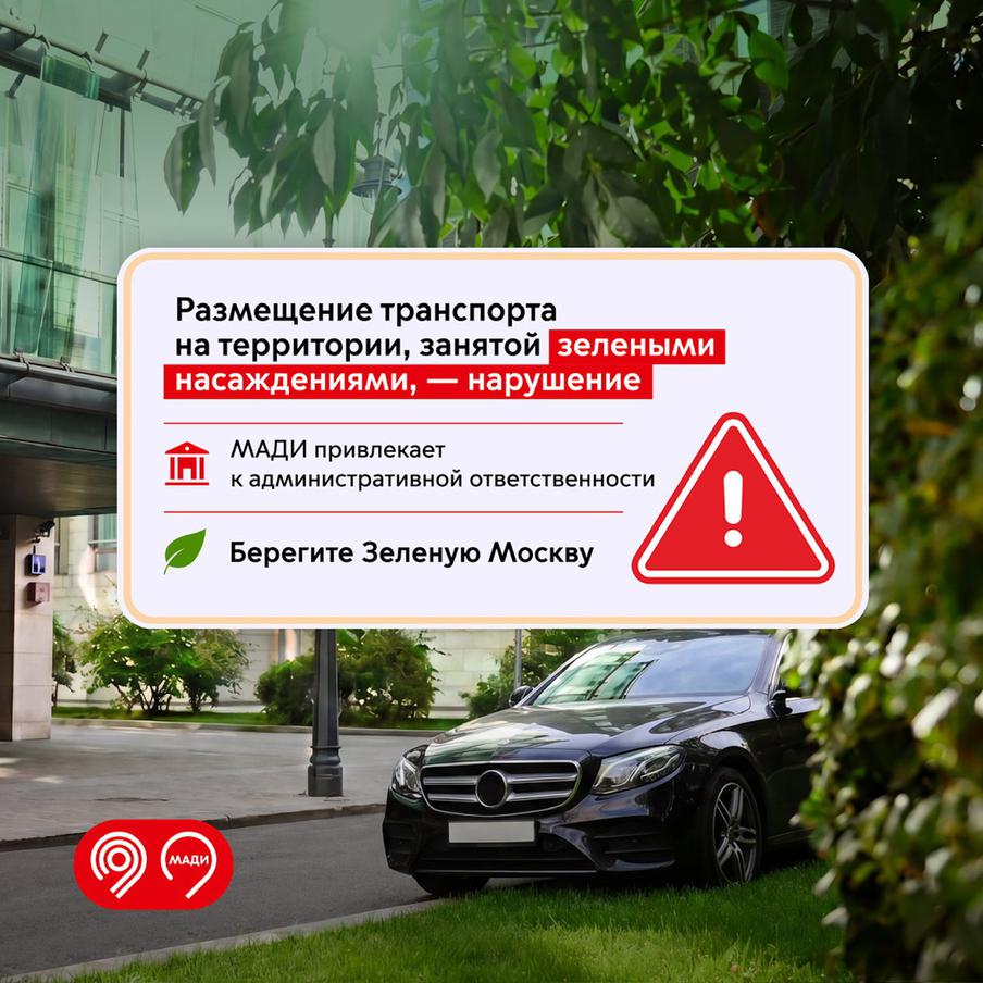 Максим Ликсутов напомнил о запрете парковки на зелёных насаждениях
