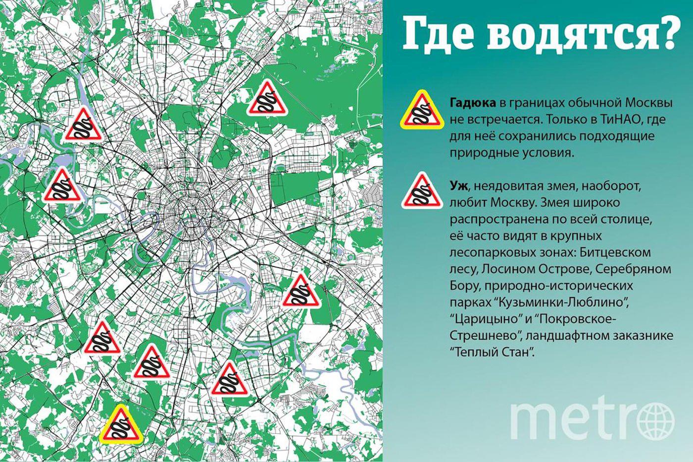 Где водятся гадюки