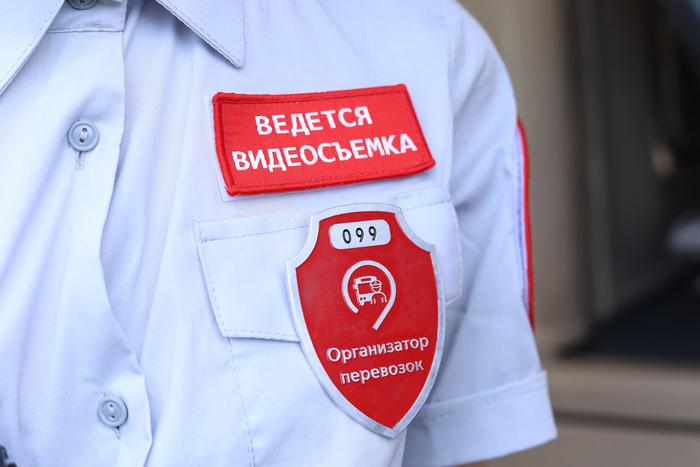 Безбилетница получила срок по уголовной статье за нападение на контролёра