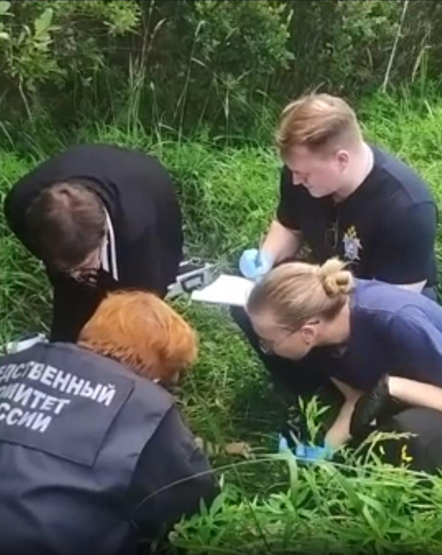 Найдена убитой: пропавшую в Ленобласти 12-летнюю девочку могли изнасиловать. В настоящее время полиция ведёт розыск злоумышленника, проводятся оперативно-разыскные мероприятия. Ход расследования находится на контроле у руководства регионального СК