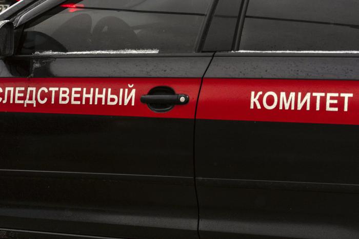 Психическое расстройство и загадочное исчезновение: как погибла украденная из дома пятилетняя девочка в Ачинске
