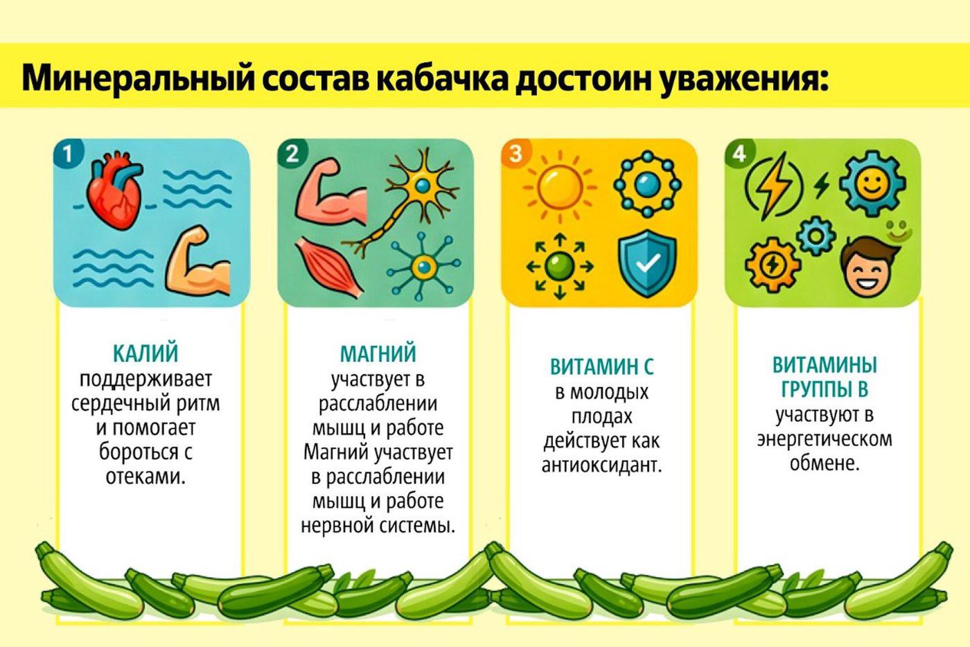 Полезные свойства кабачков.