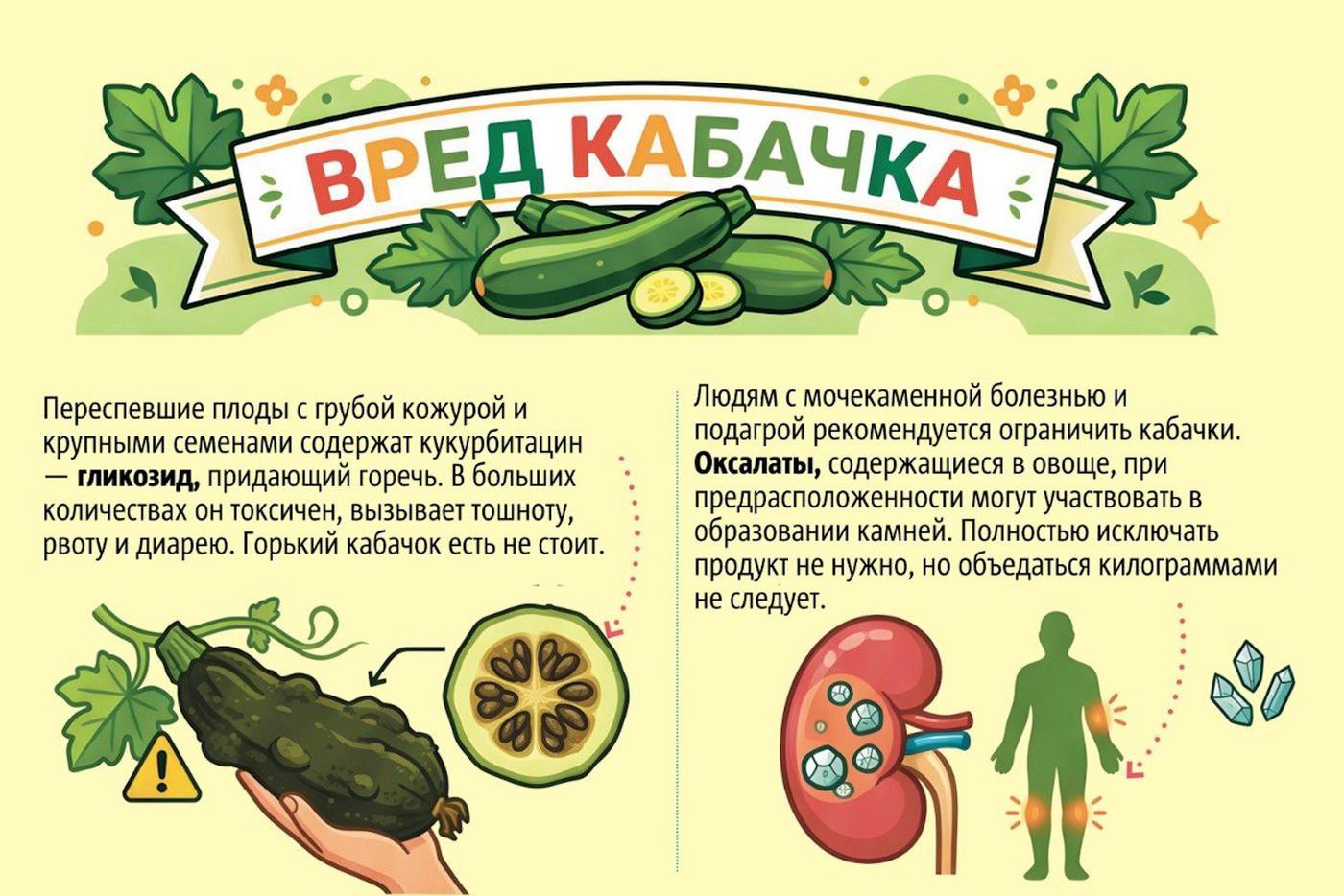 Кому и когда не стоит есть кабачки.