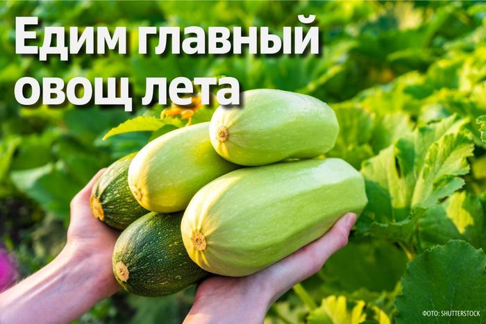 В июле кабачки приобретают "статус" самого популярного овоща. Но чем они полезны и как их правильно приготовить?