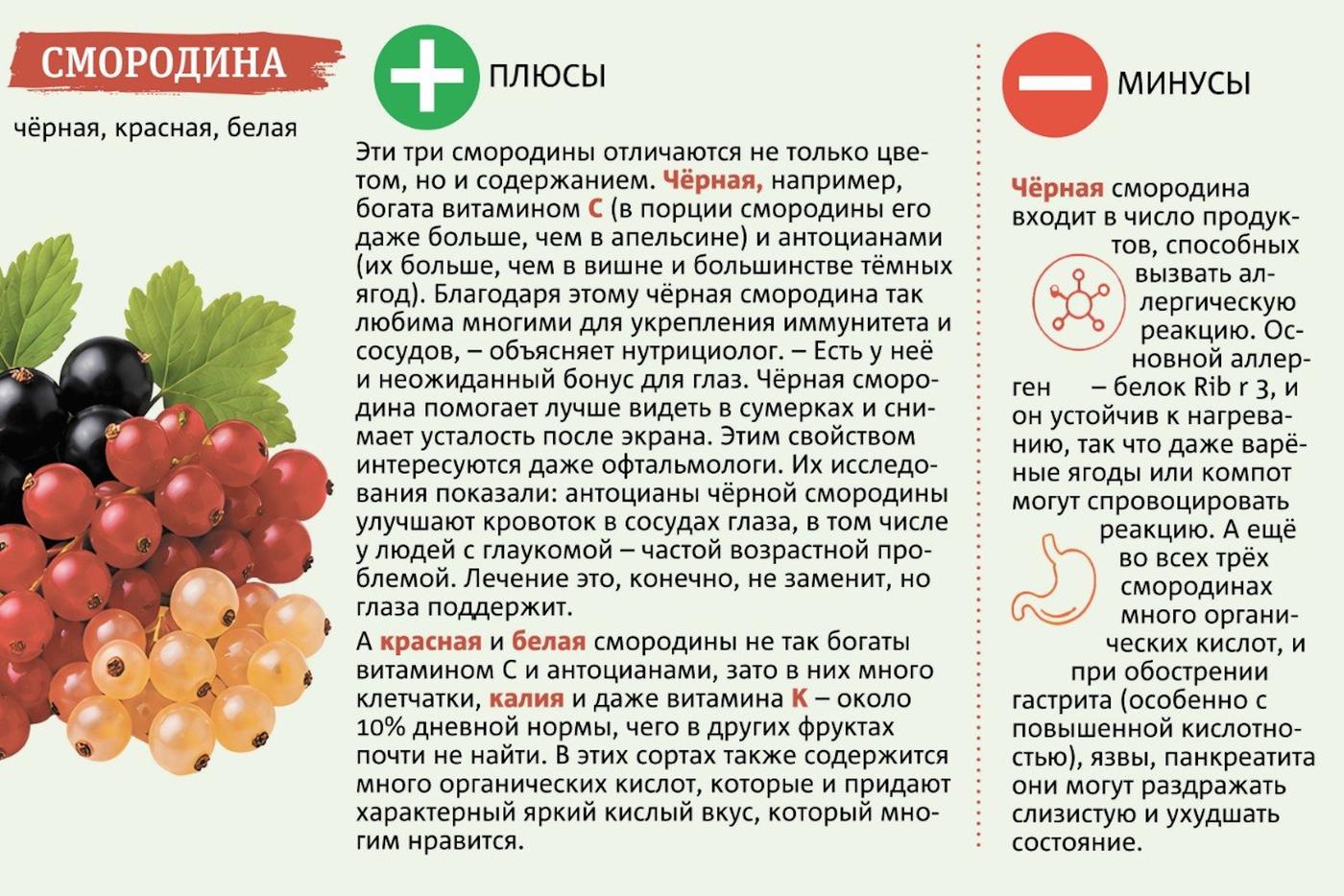 Смородину любят многие дачники.