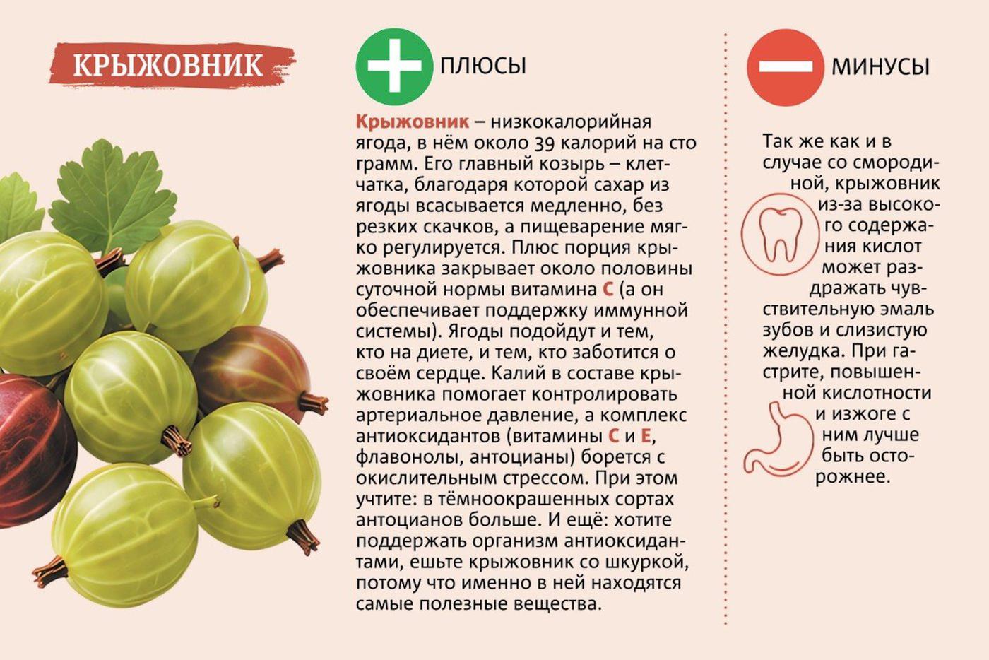Крыжовник очень полезен.