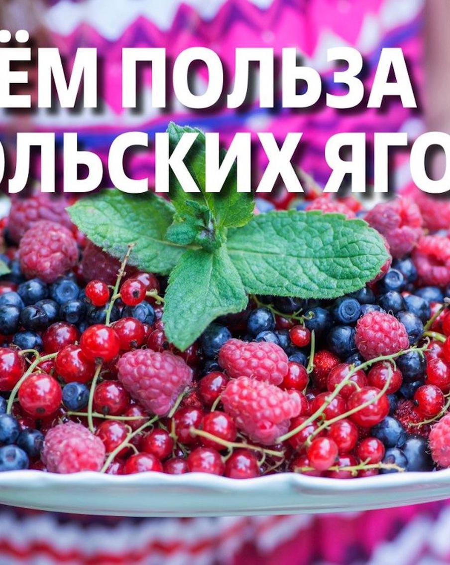 Рынки наполнены смородиной и вишней: почему их полезно есть и в каком количестве