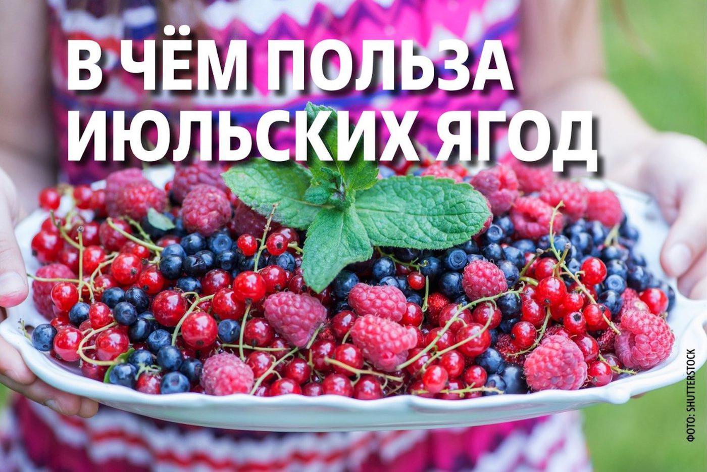 Летний урожай для здоровья: чем полезны и опасны вишня, смородина и крыжовник