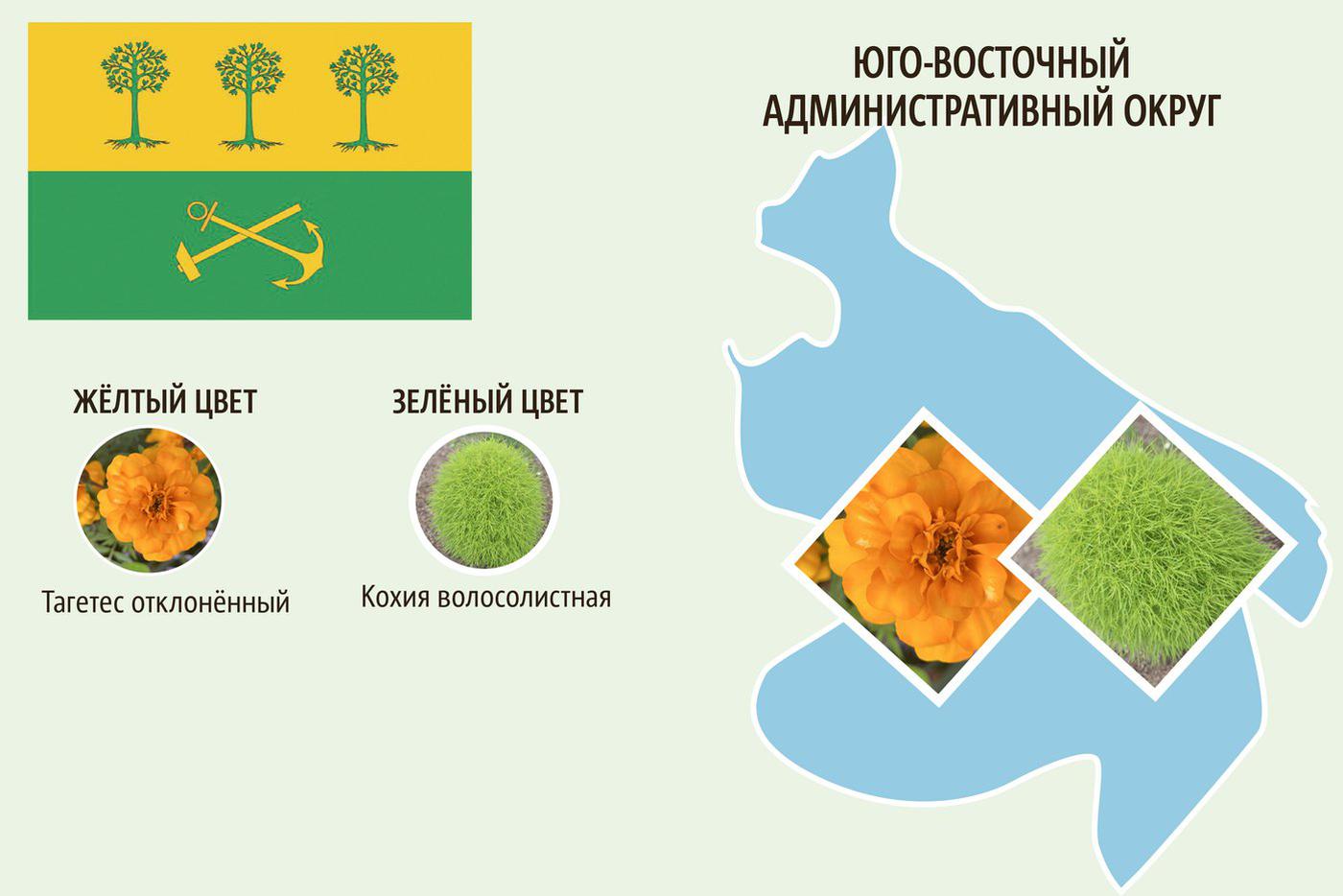 ЮВАО