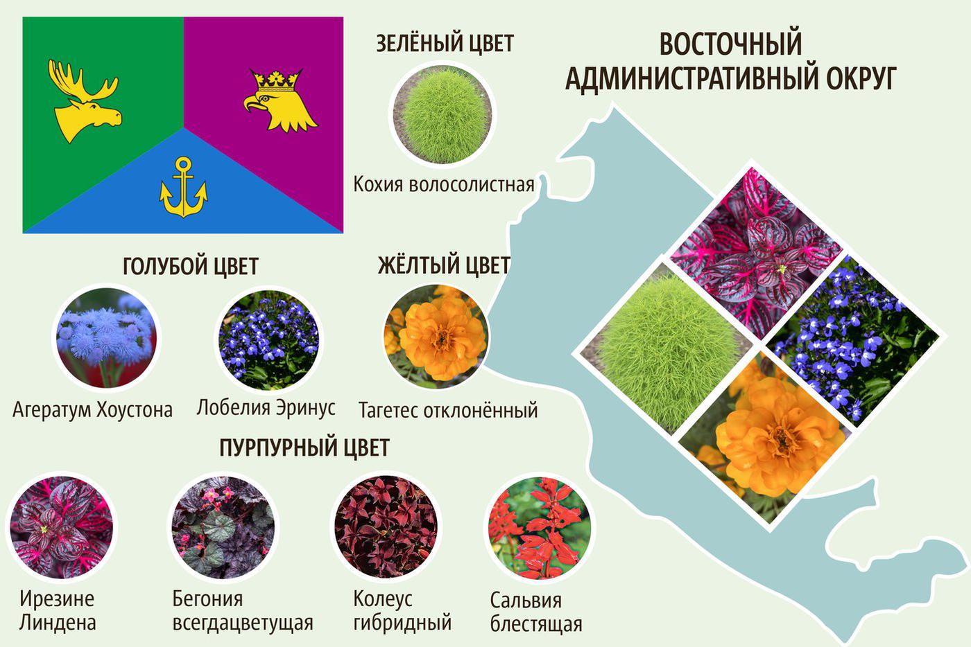 ВАО