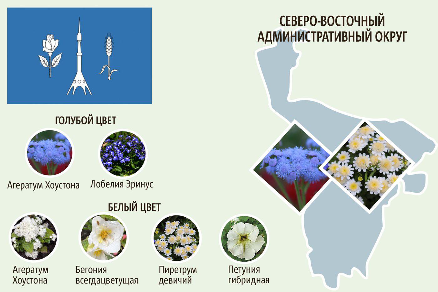 СВАО