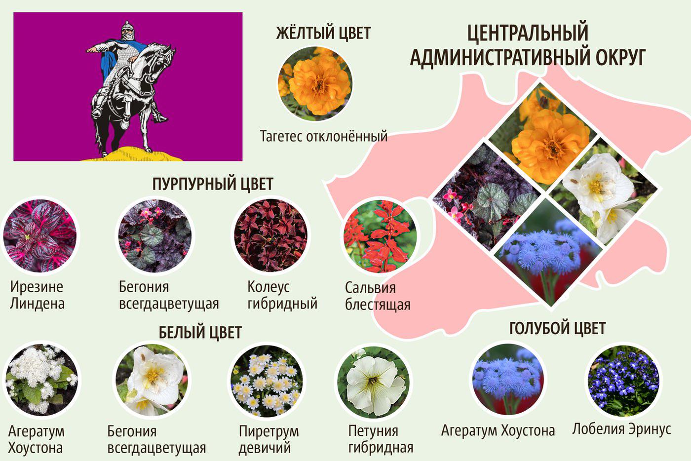 ЦАО