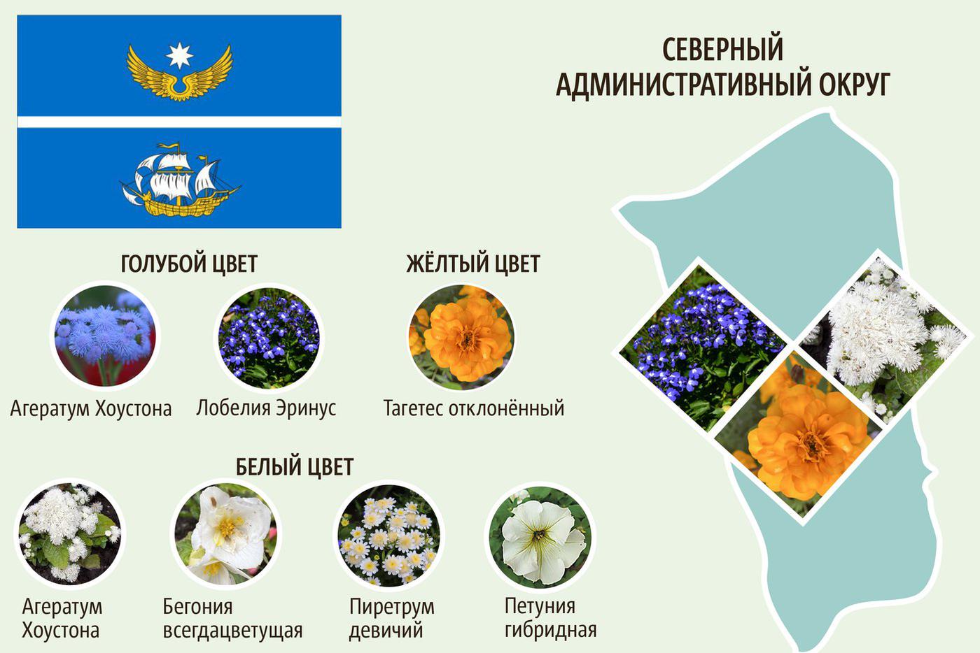 САО