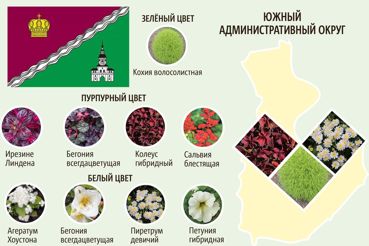 ЮАО