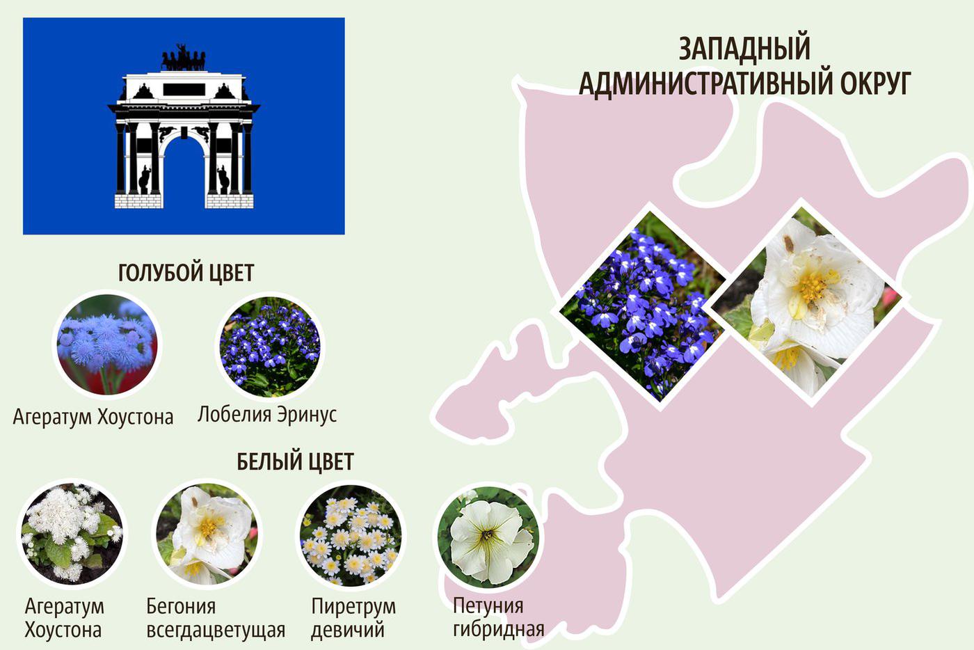 ЗАО