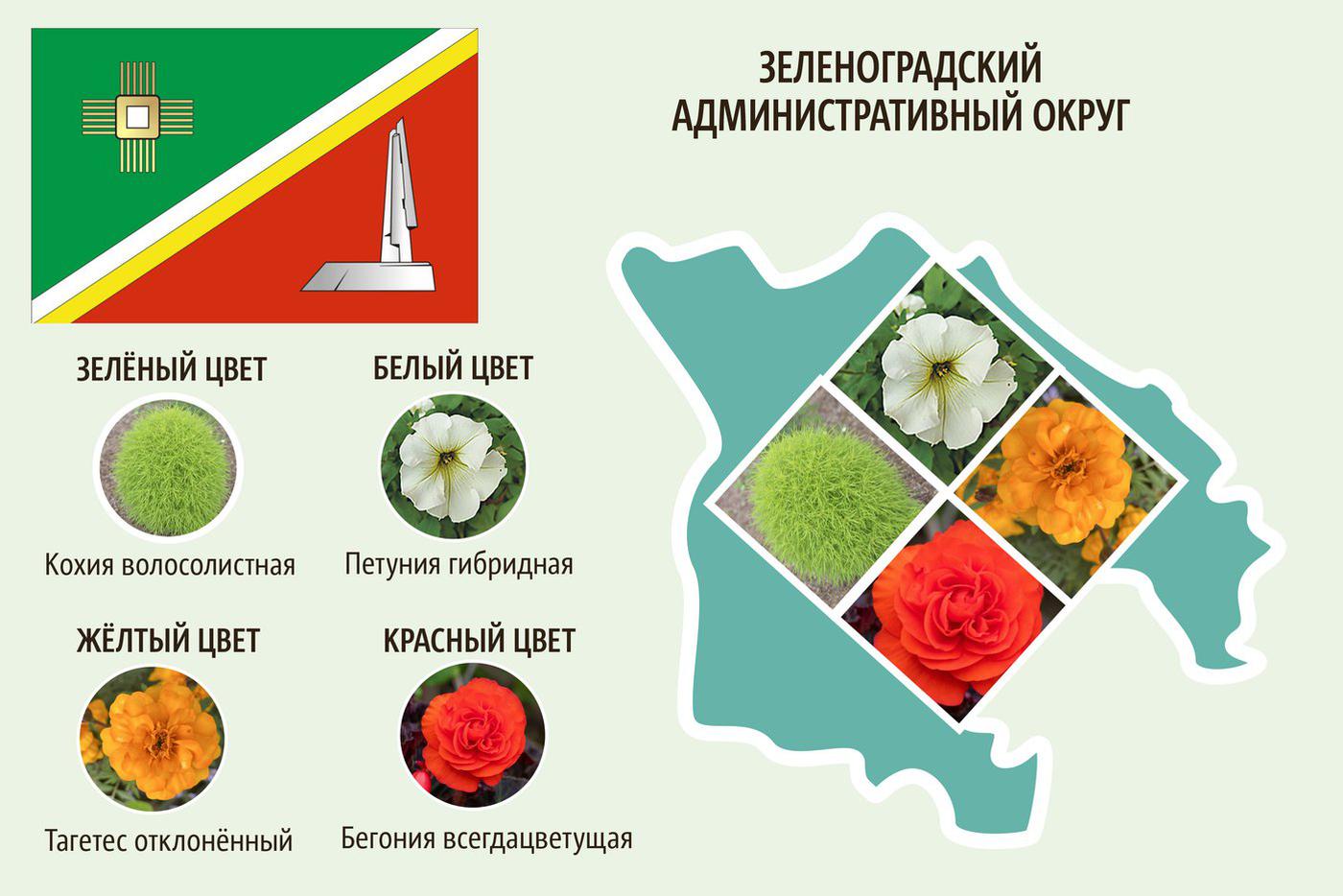 ЗелАО