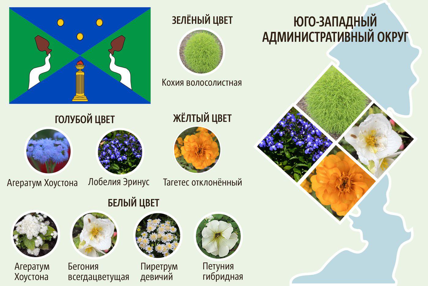 ЮЗАО