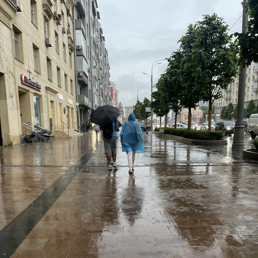 Мощные ливни накрыли Московский регион. За последние сутки в ряде округов Подмосковья выпало рекордное количество дождя. На отдельных метеостанциях объём осадков приблизился к половине климатической нормы всего за один день