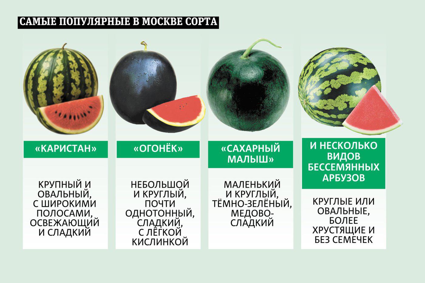 Что мы знаем про арбузы