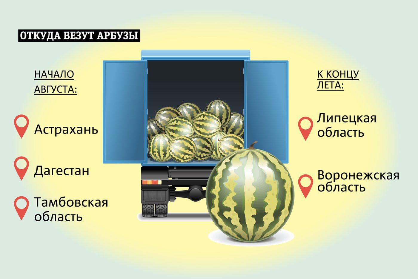Всё – про арбузы