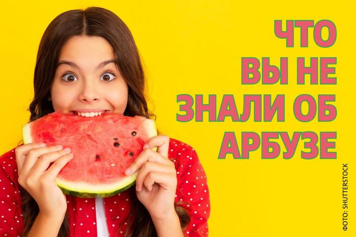 Чем коварен арбуз и почему его нельзя есть без ограничений