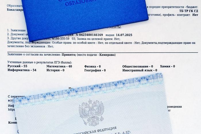 В окружении президента заговорили о новой реформе образования: почему Фурсенко выступает за коррекцию ЕГЭ и что думают родители школьников