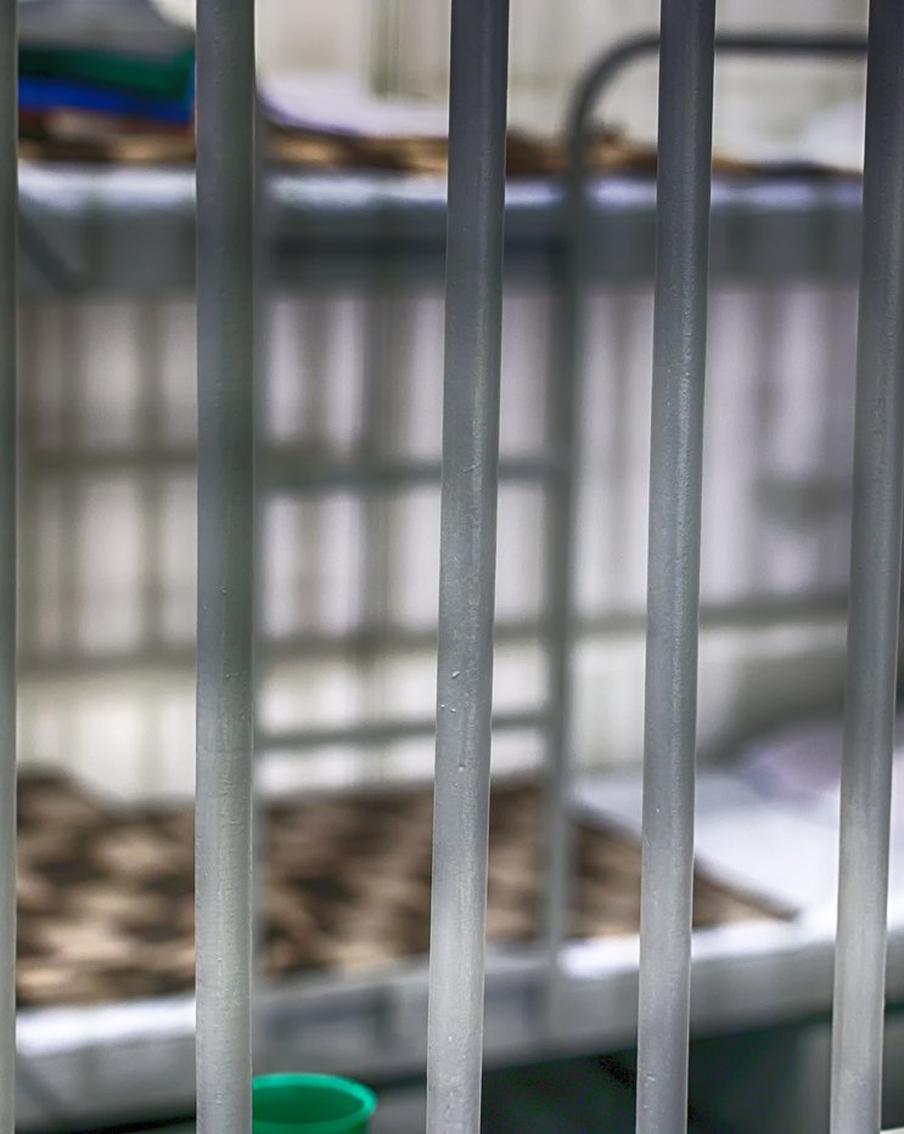 Житель Черняховска приговорён к пожизненному за убийство семилетнего пасынка. Калининградский областной суд вынес приговор жителю Черняховска Сергею Гамме, который был признан виновным в убийстве семилетнего пасынка. По версии следствия, мужчина в состоянии наркотического опьянения нанёс мальчику более 35 ударов, а затем, спрятав тело в болоте, инсценировал его исчезновение