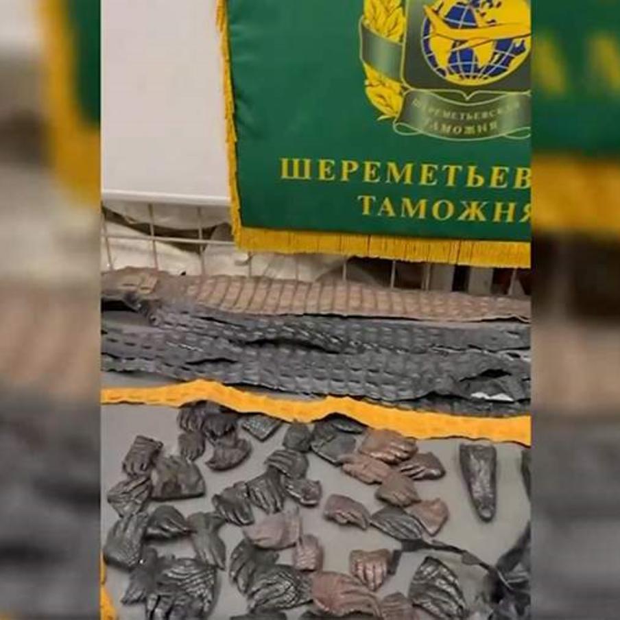 Таможенники Шереметьево изъяли у летевшего из Китая россиянина 64 части крокодила. Путешественник объяснил, что вёз уже обработанные изделия исключительно для себя и полагал, что на них не распространяются ограничения международной Конвенции СИТЕС