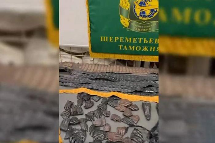 В багаже пассажира, прилетевшего из Хайкоу, нашли головы, лапы и кожу крокодилов