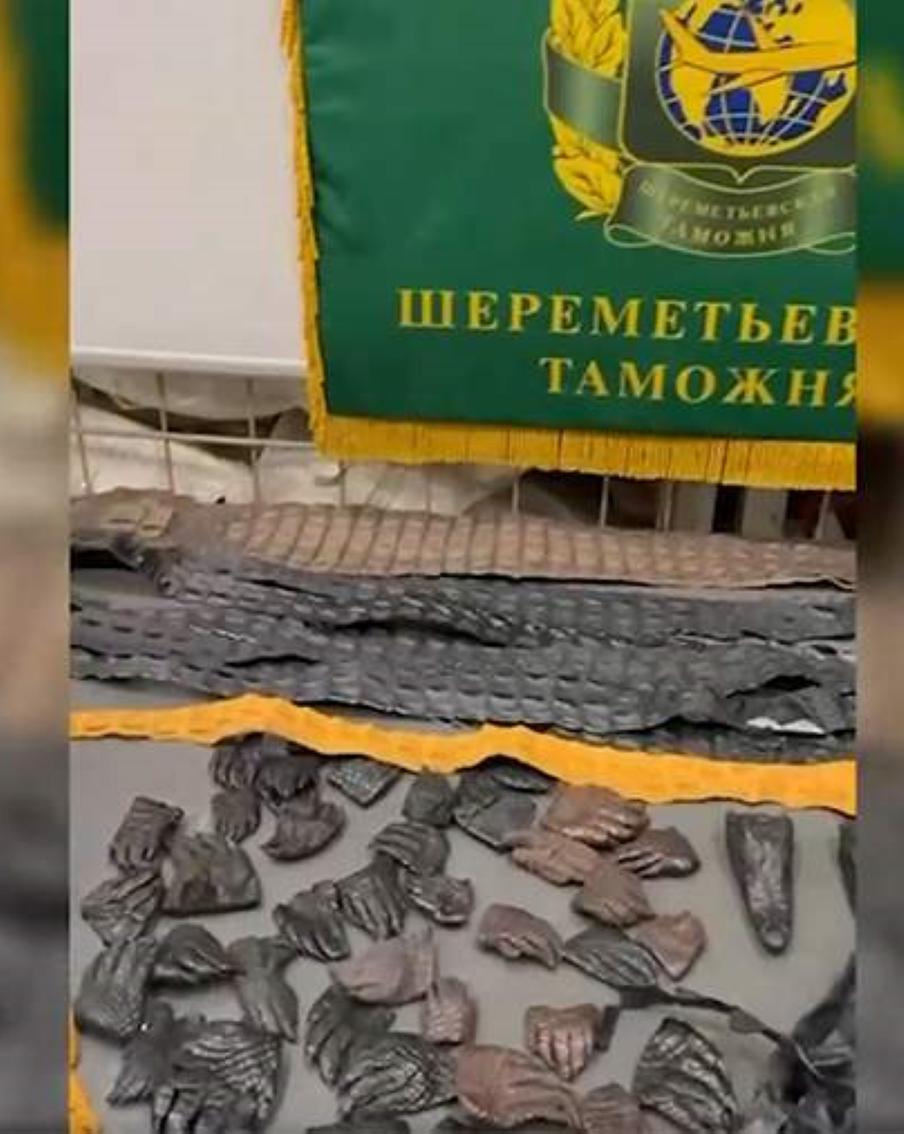 Таможенники Шереметьево изъяли у летевшего из Китая россиянина 64 части крокодила. Путешественник объяснил, что вёз уже обработанные изделия исключительно для себя и полагал, что на них не распространяются ограничения международной Конвенции СИТЕС