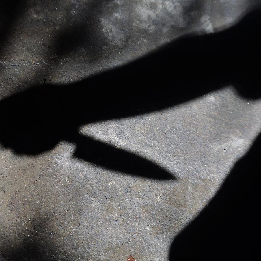 Мужчина в Ростовской области зарезал 14-летнюю сестру своей бывшей девушки. В посёлке Пригородный Красносулинского района Ростовской области совершено жестокое убийство несовершеннолетней. Жертвой нападения стала 14-летняя девушка, которая случайно столкнулась на улице с экс-возлюбленным своей старшей сестры